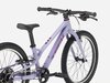 Trek Wahoo 20 Path 20 Lavender Haze