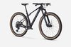 Trek Procaliber 9.7 ML Dark Star